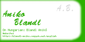 aniko blandl business card