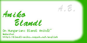 aniko blandl business card